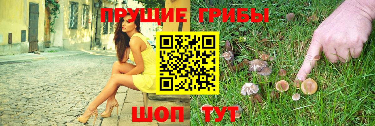 Псилоцибиновые грибы Psilocybine cubensis  Вход с VPN  Котовск 