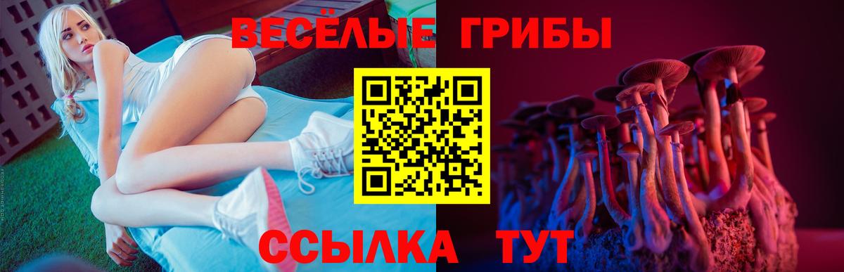 Галлюциногенные грибы MAGIC MUSHROOMS Котовск